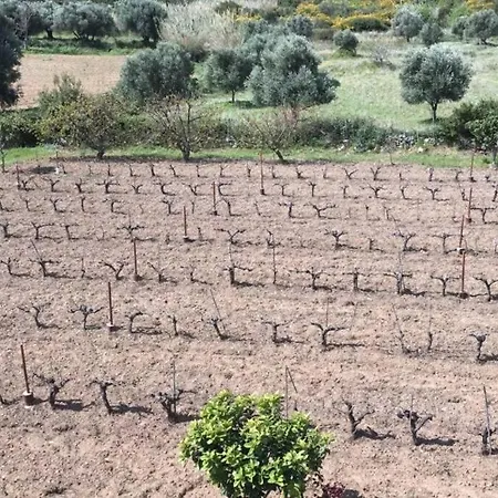 Rodanthy Ii 아파트 케텔리오스