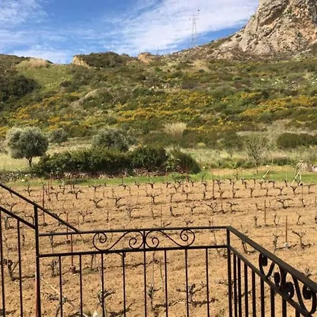 Rodanthy Ii * 케텔리오스