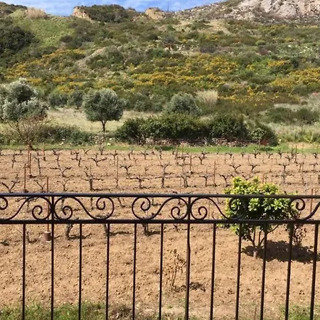 Rodanthy Ii 아파트 케텔리오스